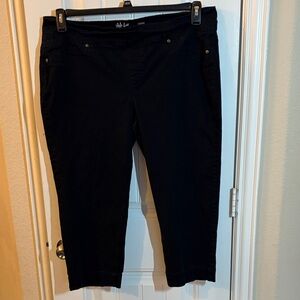 Style & Co. Dark Capris